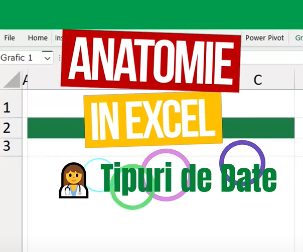 miniatura-anatomie